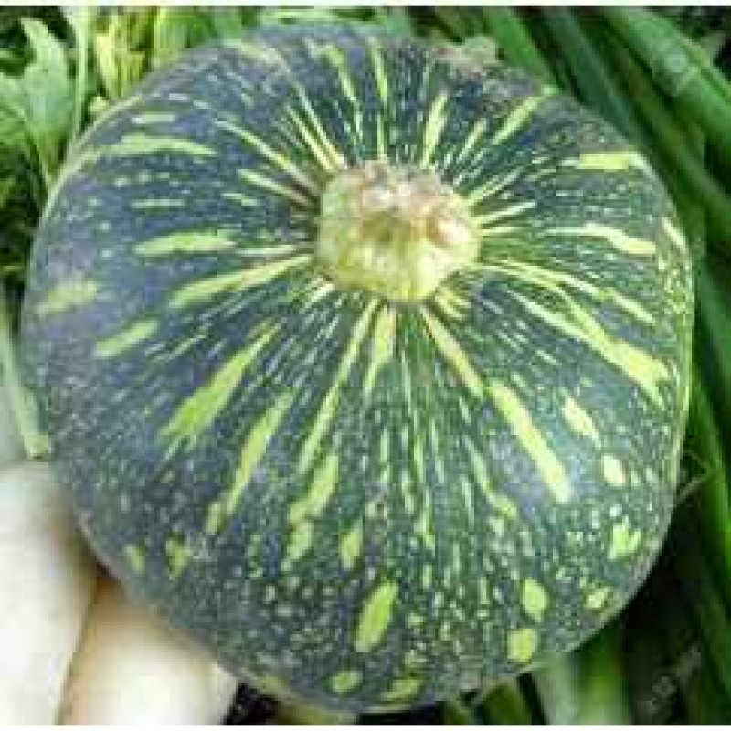 Pumpkin Green